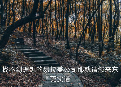 找不到理想的易拉蓋公司那就請(qǐng)您來(lái)東莞實(shí)諾