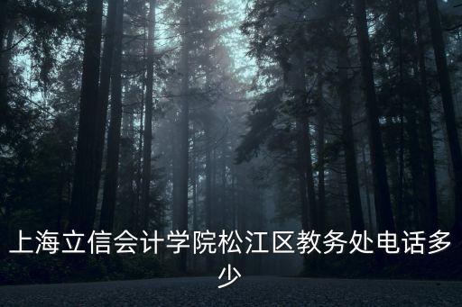 上海立信會計學院松江區教務處電話多少