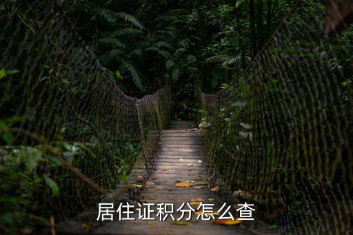 居住證積分怎么查