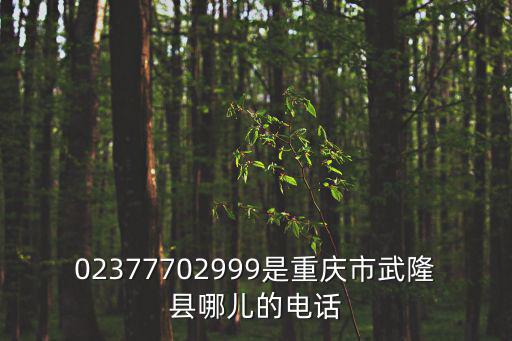 02377702999是重慶市武隆縣哪兒的電話