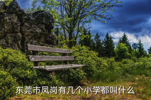 東莞市鳳崗有幾個小學都叫什么