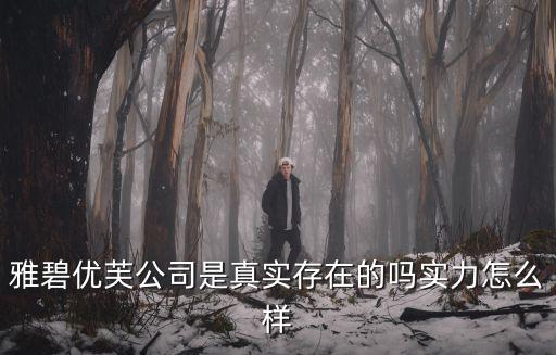 雅碧優芙公司是真實存在的嗎實力怎么樣