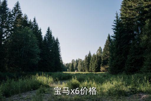 寶馬x6價格