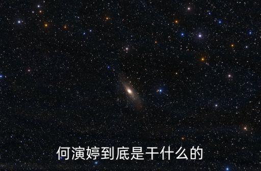 何演婷到底是干什么的