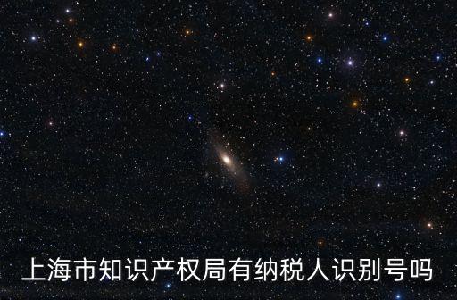 上海市知識產權局局長，上海市知識產權局有納稅人識別號嗎