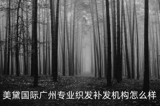 美黛國際廣州專業織發補發機構怎么樣