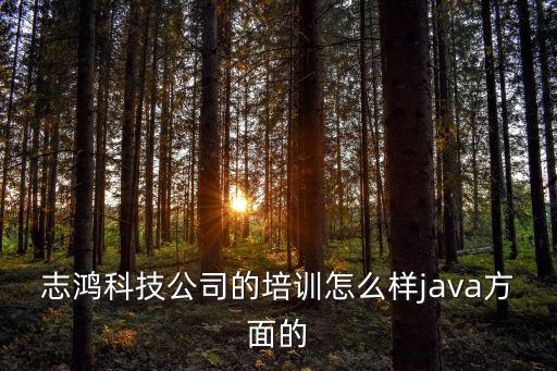 深圳志鴻科技怎么樣，志鴻軟件 怎么樣