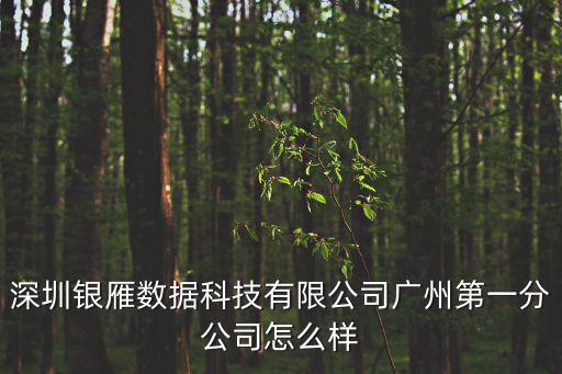 深圳銀雁數據科技有限公司廣州第一分公司怎么樣