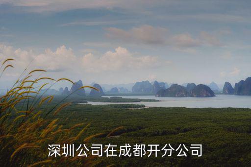深圳公司在成都開分公司