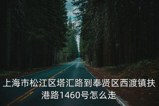 上海市松江區塔匯路到奉賢區西渡鎮扶港路1460號怎么走