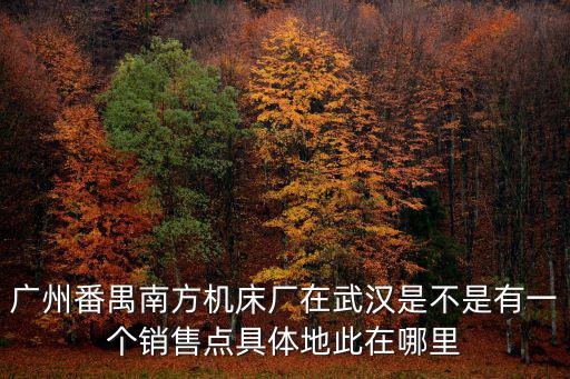 廣州番禺南方機床廠在武漢是不是有一個銷售點具體地此在哪里