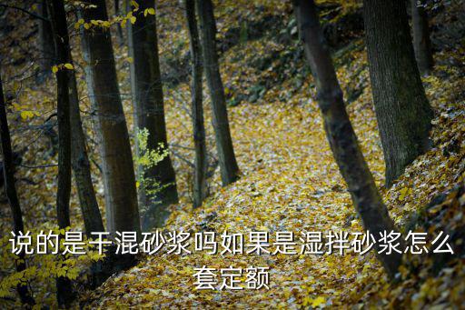 重慶市濕拌砂漿砂規(guī)定，砂漿拌制質(zhì)量要求是什么