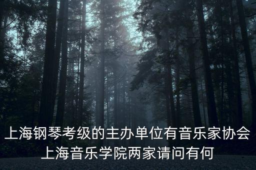上海鋼琴考級的主辦單位有音樂家協(xié)會上海音樂學(xué)院兩家請問有何