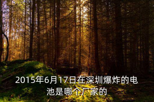 2015年6月17日在深圳爆炸的電池是哪個廠家的