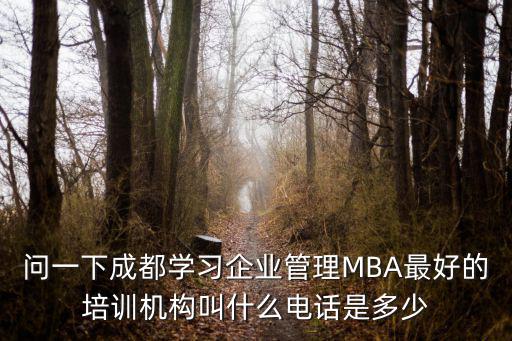 問一下成都學習企業管理MBA最好的培訓機構叫什么電話是多少