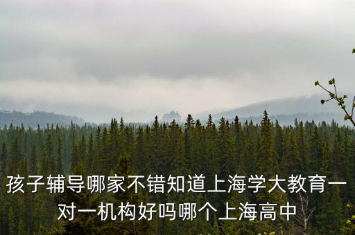 孩子輔導哪家不錯知道上海學大教育一對一機構好嗎哪個上海高中