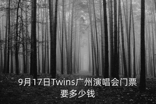 9月17日Twins廣州演唱會門票要多少錢