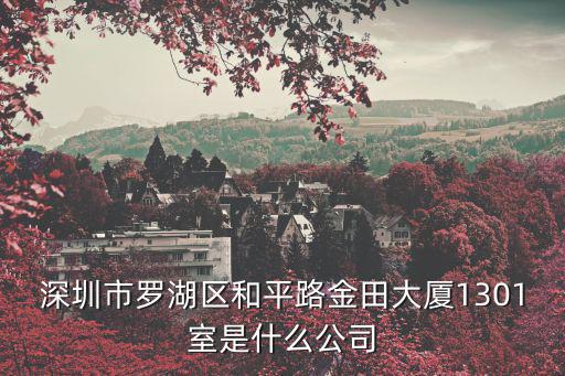 深圳市羅湖區(qū)和平路金田大廈1301室是什么公司