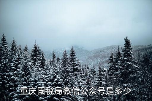 重慶市奉節(jié)縣國家稅務局，重慶市國稅局怎么樣