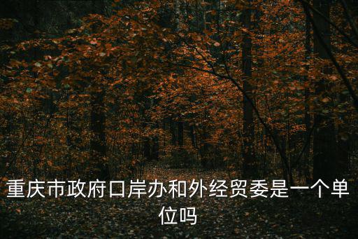 重慶市政府口岸辦和外經貿委是一個單位嗎