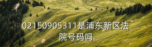 上海市金山區(qū)人民法院總機(jī)，上海市金山區(qū)法院在哪里