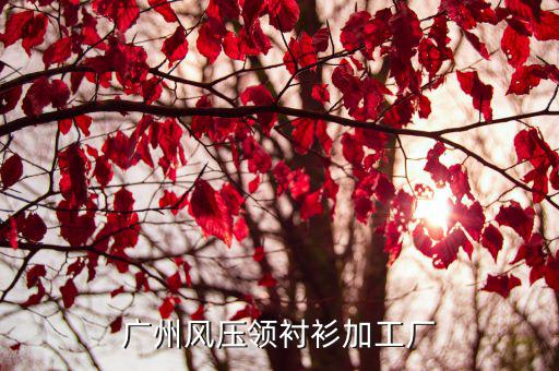 廣州市正東紡織有限公司，廣州西服加工廠