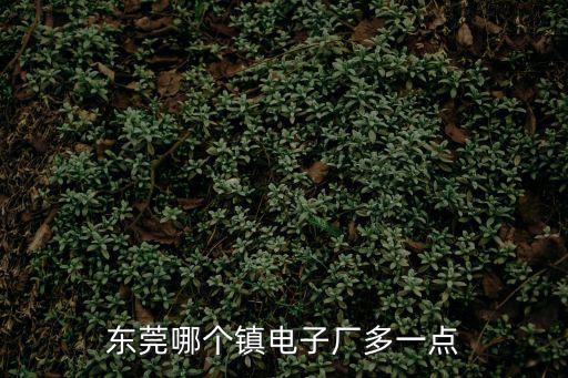東莞電子廠那里最多，東莞那個地方電子廠多