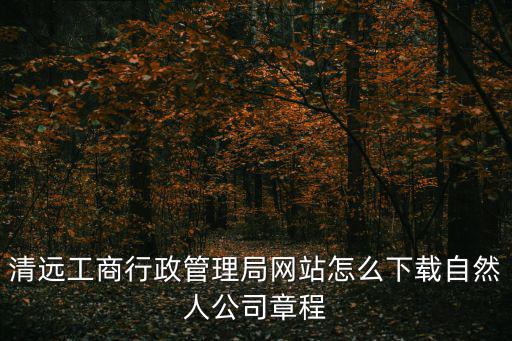 清遠(yuǎn)工商行政管理局網(wǎng)站怎么下載自然人公司章程