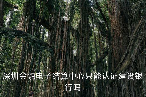 深圳金融電子結(jié)算中心只能認(rèn)證建設(shè)銀行嗎