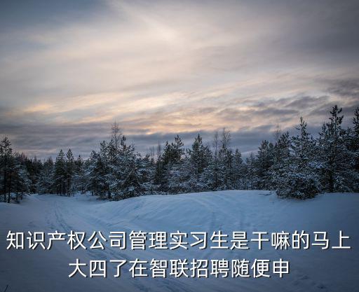 知識產(chǎn)權公司管理實習生是干嘛的馬上大四了在智聯(lián)招聘隨便申