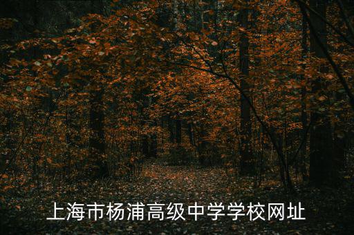 上海市楊浦高級中學學校網址