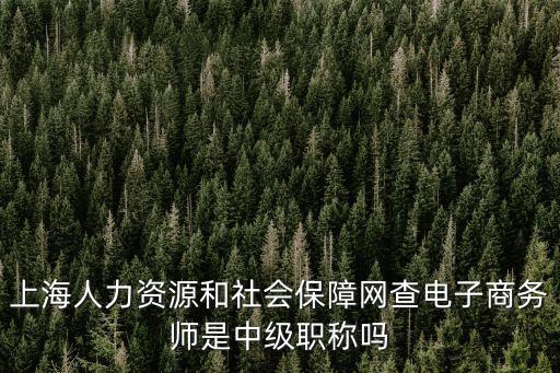 上海人力資源和社會保障網查電子商務師是中級職稱嗎