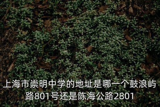 上海市崇明中學的地址是哪一個鼓浪嶼路801號還是陳海公路2801