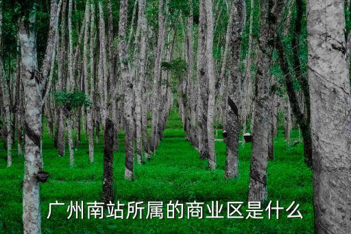 廣州南洲商業(yè)中心，廣州南站所屬的商業(yè)區(qū)是什么