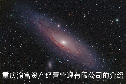 重慶渝富資產(chǎn)經(jīng)營管理有限公司的介紹