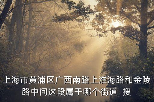 上海市黃浦區廣西南路上淮海路和金陵路中間這段屬于哪個街道  搜