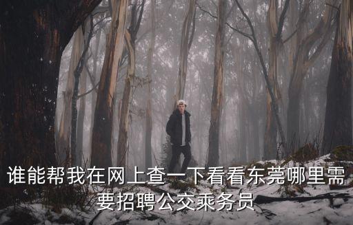 誰能幫我在網(wǎng)上查一下看看東莞哪里需要招聘公交乘務(wù)員
