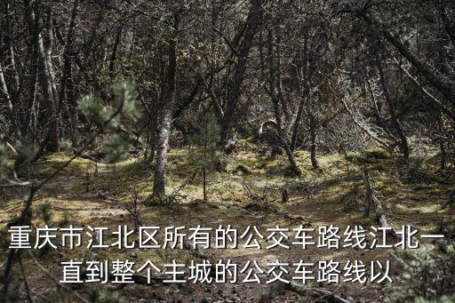 重慶市江北區所有的公交車路線江北一直到整個主城的公交車路線以