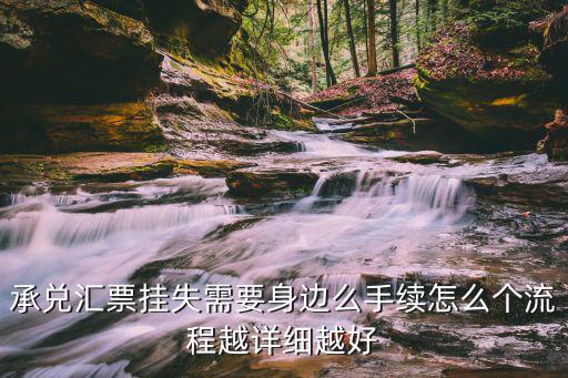 上海市法院 承兌匯票掛失，承兌丟失 請問如何掛失程序怎么走