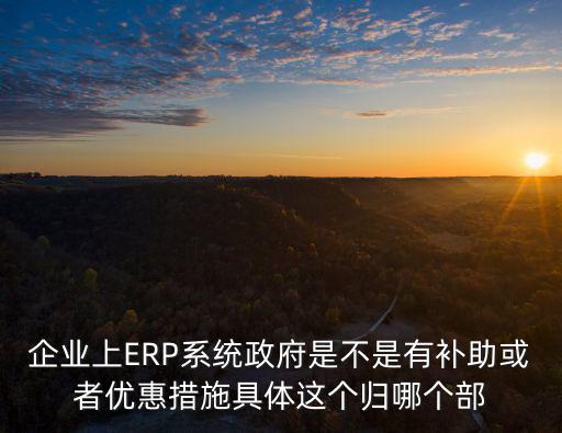 企業(yè)上ERP系統(tǒng)政府是不是有補(bǔ)助或者優(yōu)惠措施具體這個(gè)歸哪個(gè)部