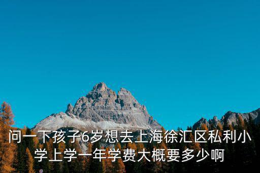 上海市各區民辦小學及學費，上海徐匯區有哪幾家收費不是太高的民辦小學地址在哪里謝謝回答