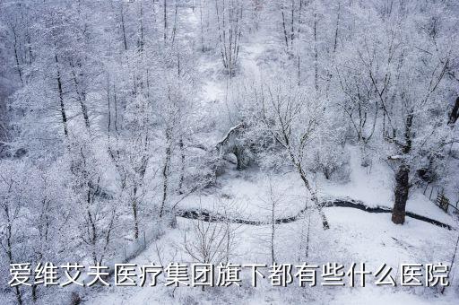 愛維艾夫醫療集團旗下都有些什么醫院
