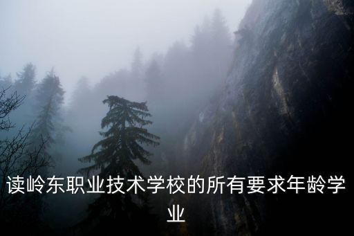 讀嶺東職業技術學校的所有要求年齡學業