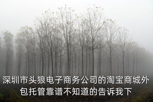 深圳市頭狼電子商務(wù)公司的淘寶商城外包托管靠譜不知道的告訴我下