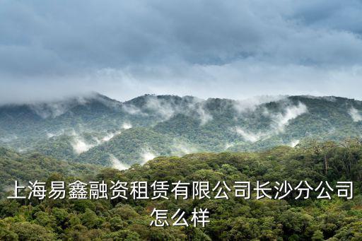 上海市易鑫，上海市陜西北路1283弄9號(hào)1604室是什么公司