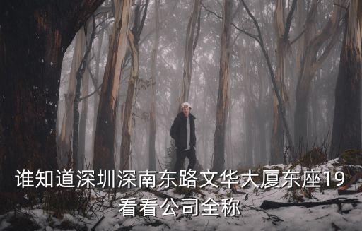誰知道深圳深南東路文華大廈東座19看看公司全稱