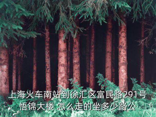 上?；疖嚹险镜叫靺R區富民路291號悟錦大樓 怎么走的坐多少路公