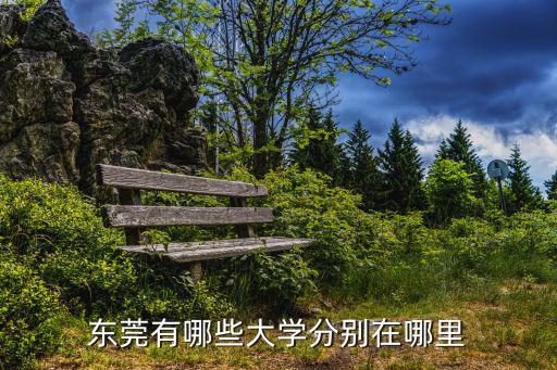 東莞有哪些大學(xué)分別在哪里
