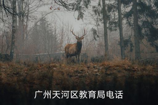 廣州天河區(qū)教育局電話