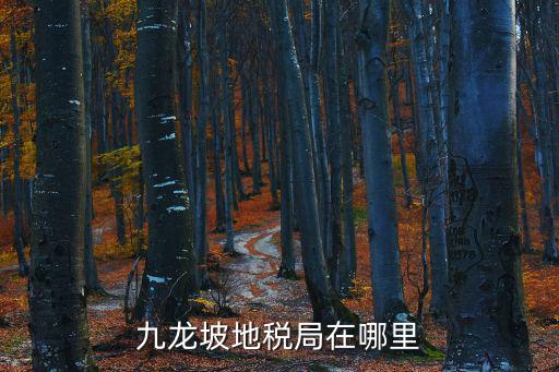 重慶市九龍坡區高新地稅局，九龍坡地稅局在哪里